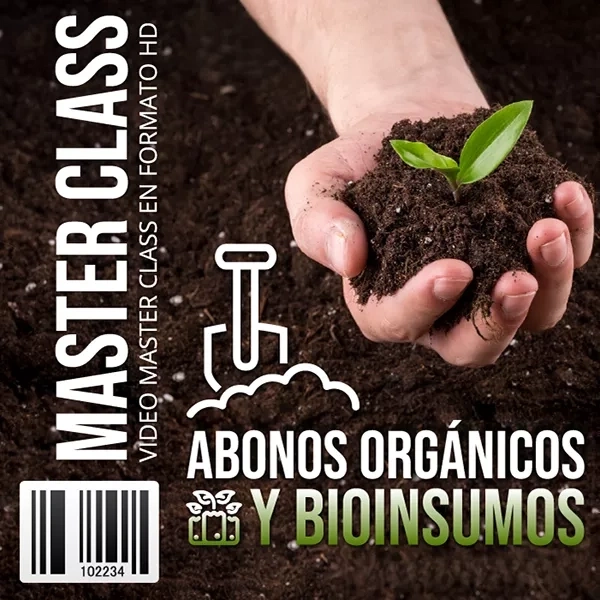 Mockup del curso