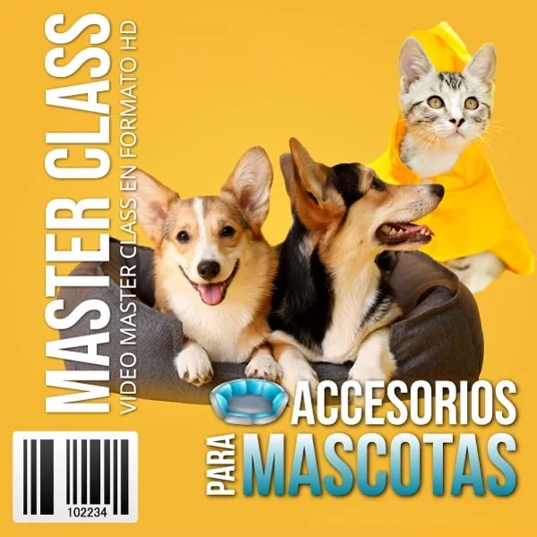 Mockup del curso