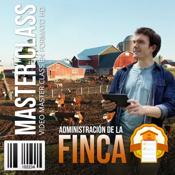 Mockup del curso