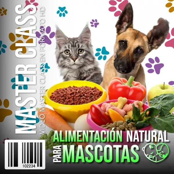 Mockup del curso