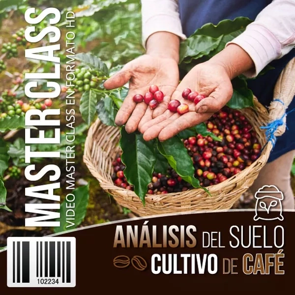 Mockup del curso