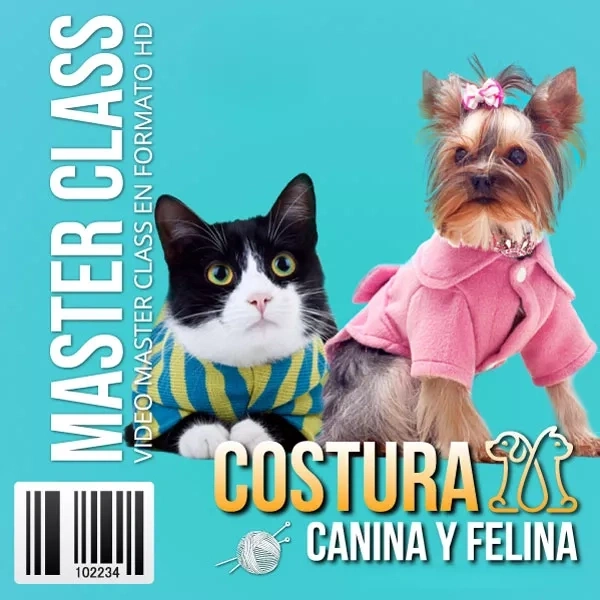 Mockup del curso