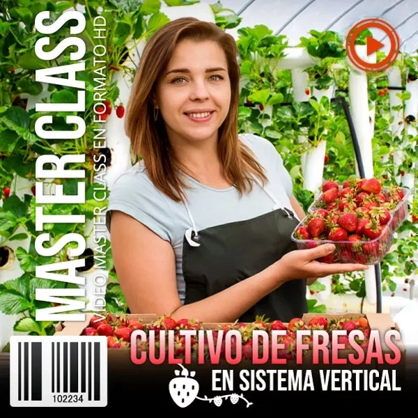 Mockup del curso