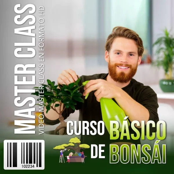 Mockup del curso