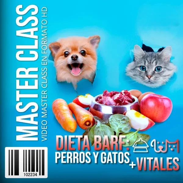 Mockup del curso