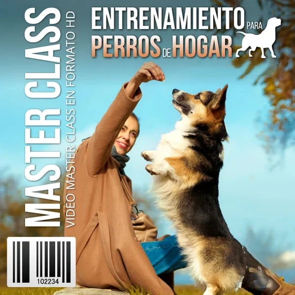 Mockup del curso