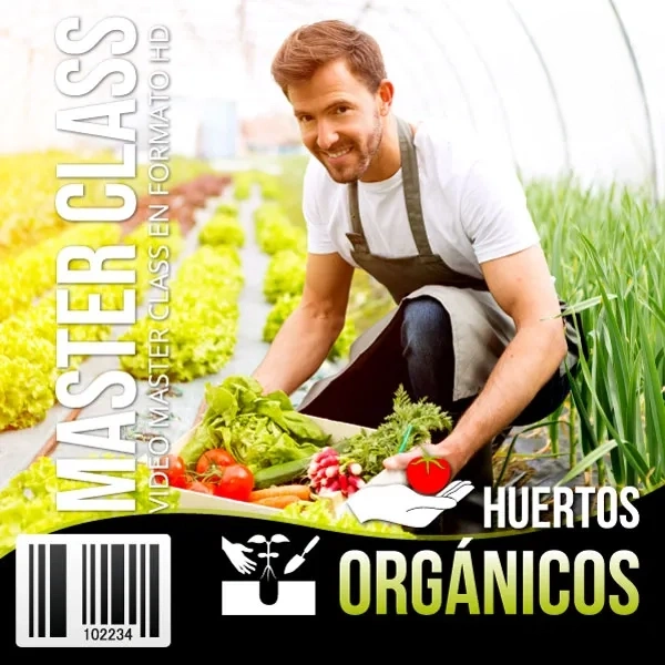Mockup del curso