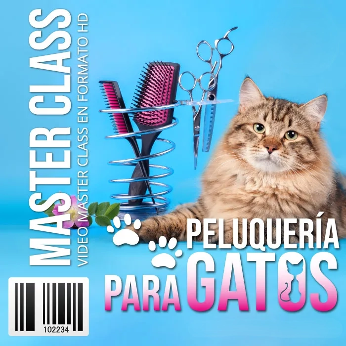 Peluquería Para Gatos - Curso Online de Grooming Felino Profesional