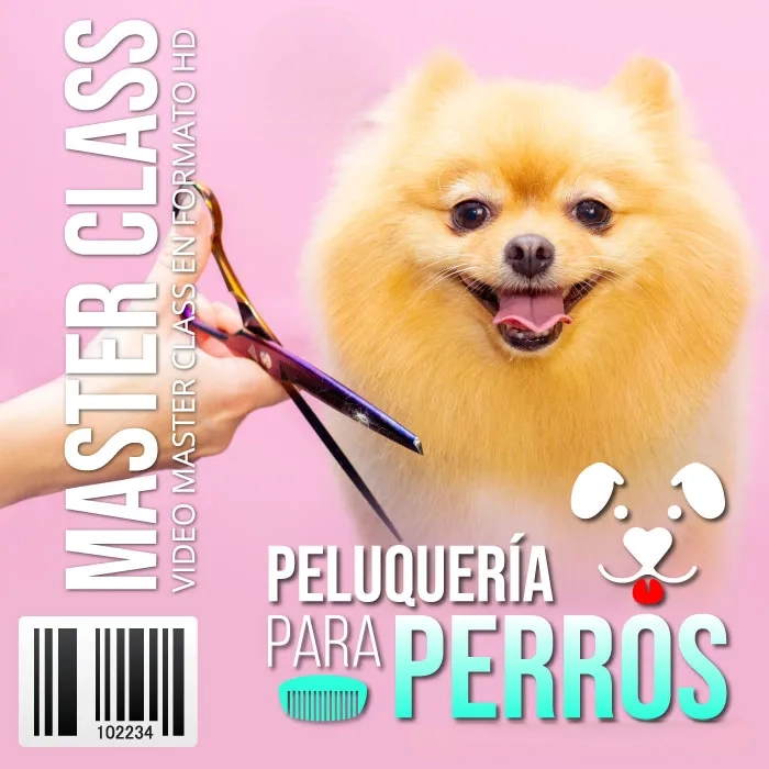 Peluquería Para Perros - Curso Online de Grooming Profesional